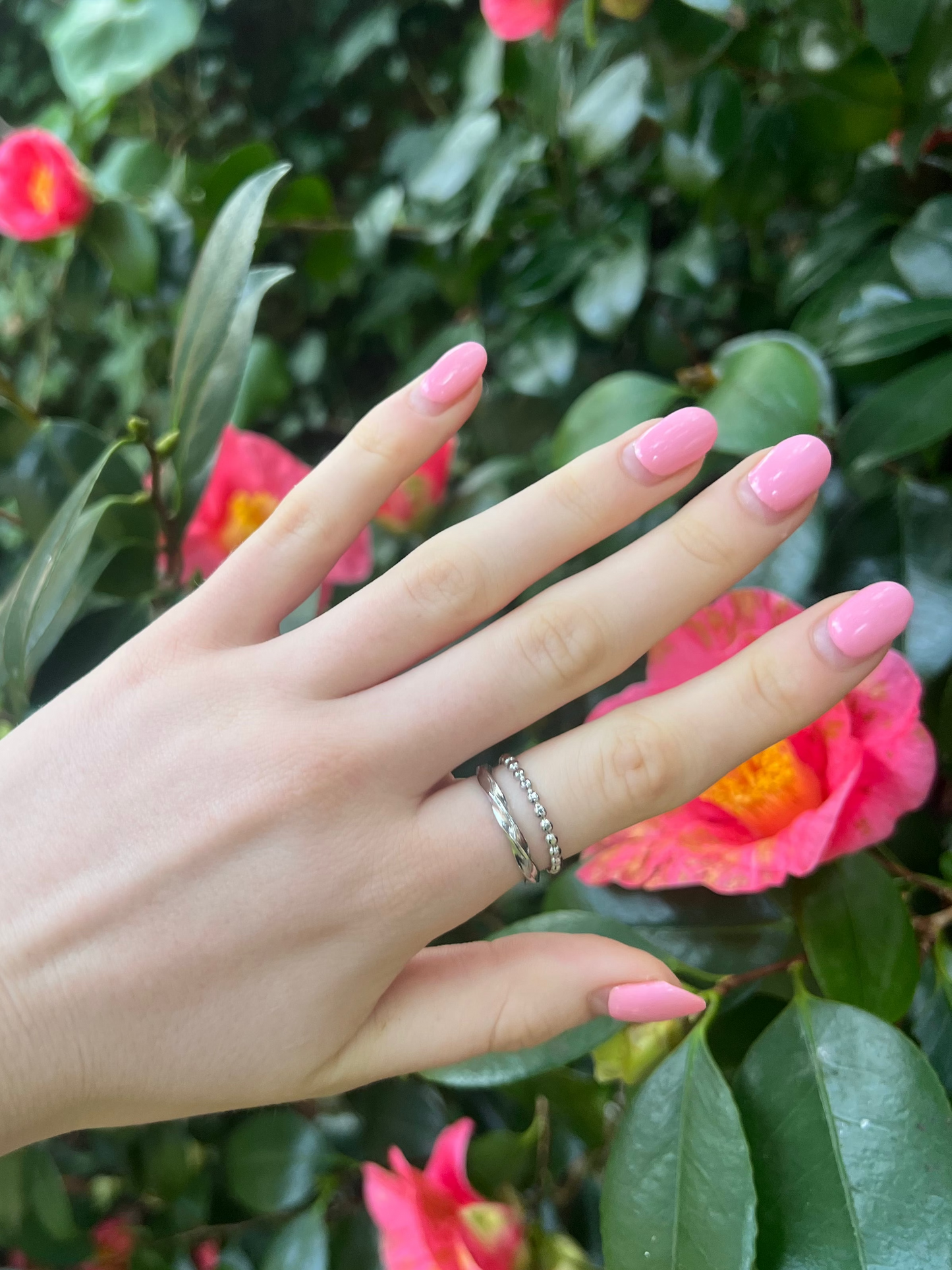 The Paisley Ring